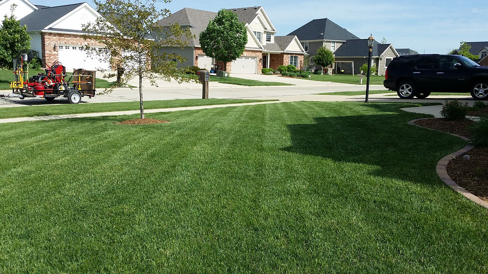 Cleanvue Lawn Care Services
