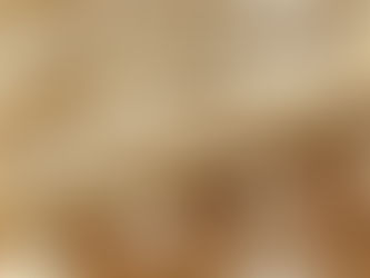 A Scrupulous Catalogue of Singapore Convention