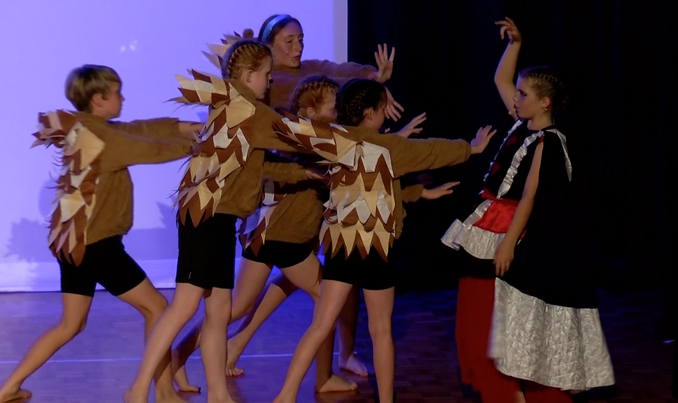 Thumbnail: Show Footage!