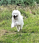Image-1 (1).png