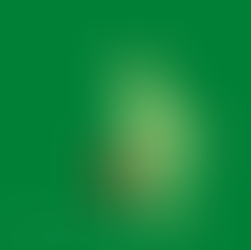 The Problem With Emotion Led Decisions