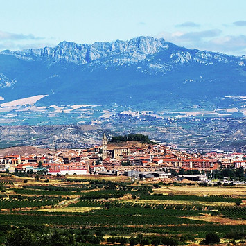 Scenic view of La Rioja vineyards with Navarrete town and Sierra de Cantabria in the background