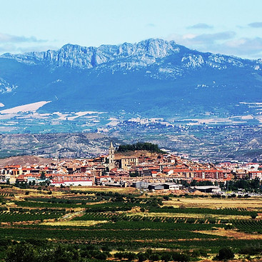 Scenic view of La Rioja vineyards with Navarrete town and Sierra de Cantabria in the background
