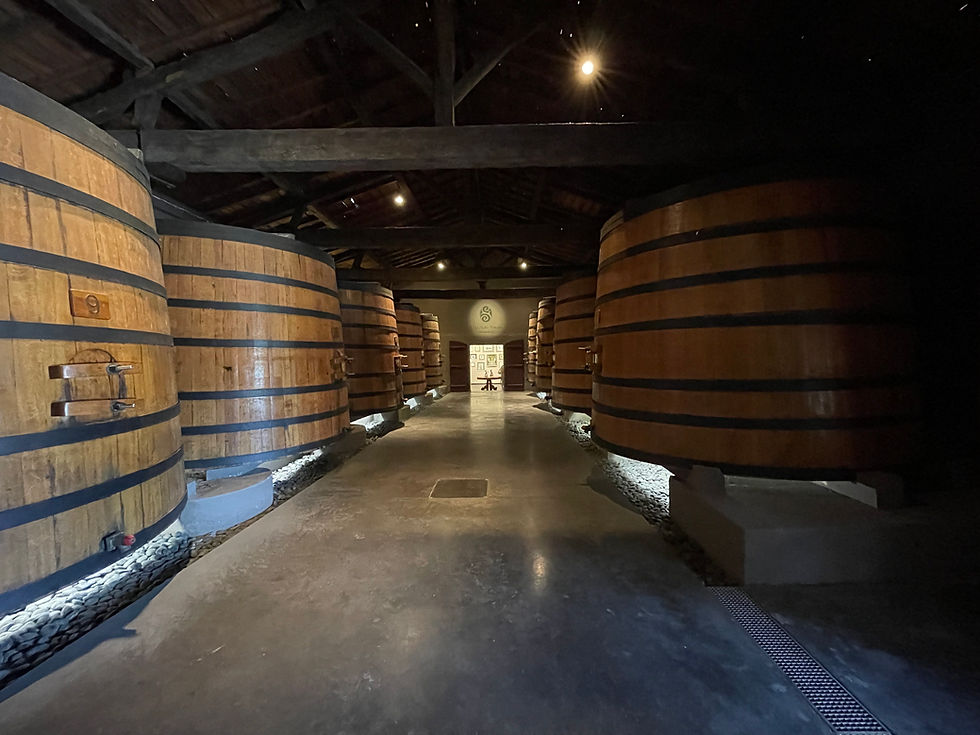 Foudres dating back to the late 19th century. They were used for vinification until their final vintage in 1982, now standing as historical relics of traditional winemaking.