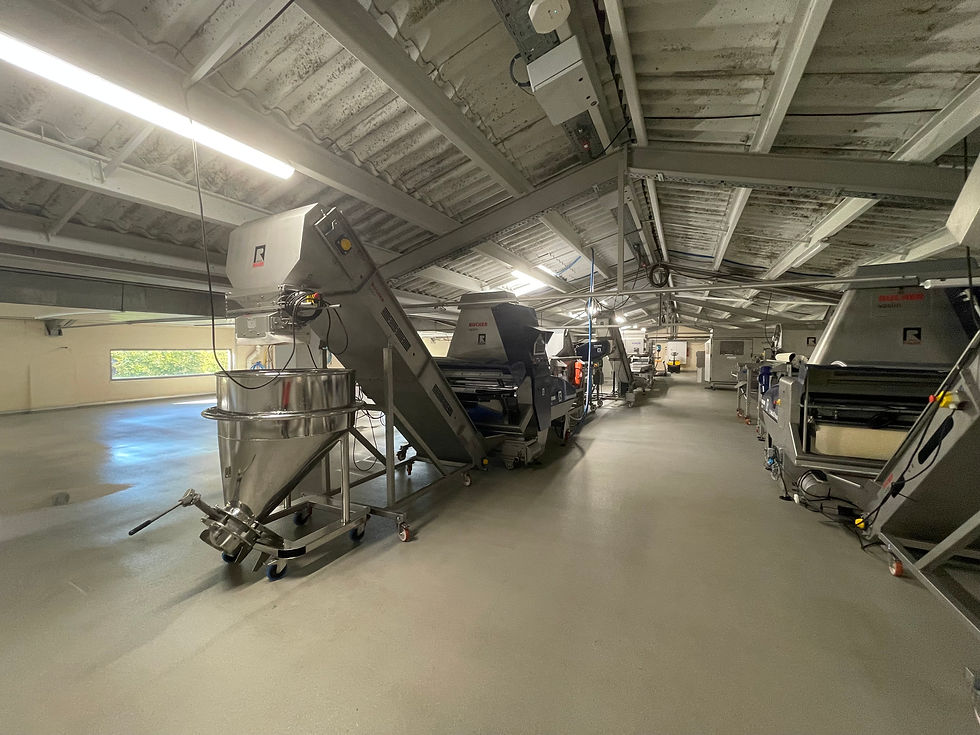 Two rows of sorting machines.