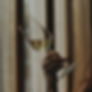 Woman gracefully holding a champagne glass, delicately tilting it to the side. Her poised gesture exudes elegance.