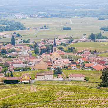 Panoramic view of the vineyards surrounding the picturesque french village of Fleurie in the Beaujolais wine road and region, Rhone-Alpes, France at spring time