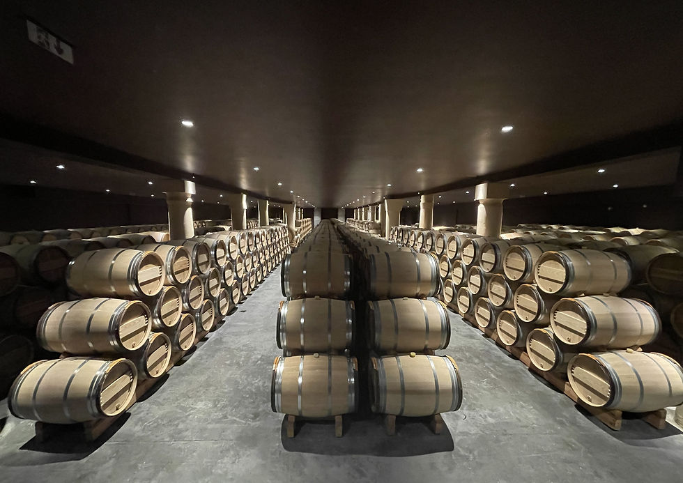 The serene barrel cellar of Château Pichon Baron, a tranquil space where the estate's wines quietly mature.