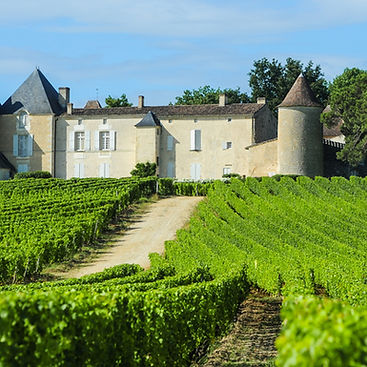 Scenic view of a vineyard in the Sauternes AOC, Bordeaux, France, with the iconic Chateau d'Yquem in the background. The Bordeaux wine region is famous for its luscious Sauternes wines, produced from grapes affected by noble rot, resulting in exquisite sweet and complex flavors
