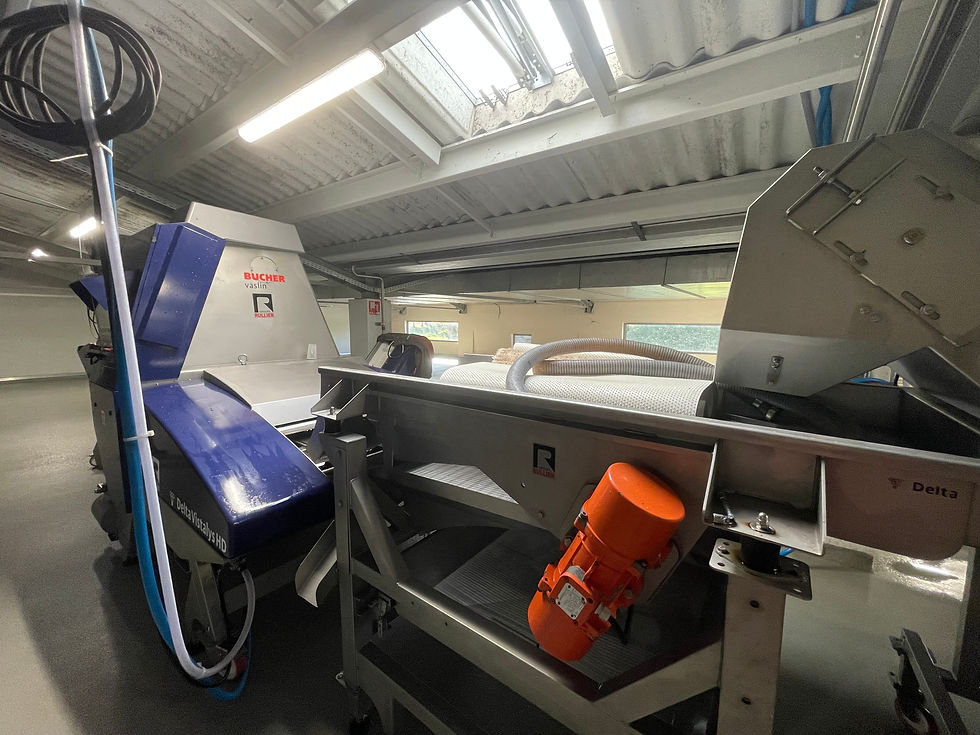 Fourth step: an advanced optical sorting machine, a high-tech marvel that sorts grapes with remarkable precision.