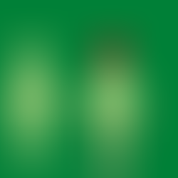 The Anatomy of Friendship Connection, Balance and Emotional Safety