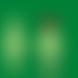 The Anatomy of Friendship Connection, Balance and Emotional Safety