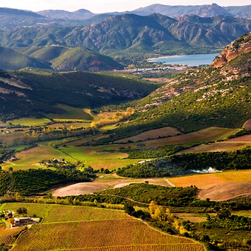 Aerial view of the expansive vineyards of Patrimonio AOC in Corsica, showcasing the stunning landscape of rolling hills, majestic mountains and the coastal town of Saint-Florent in the backdrop