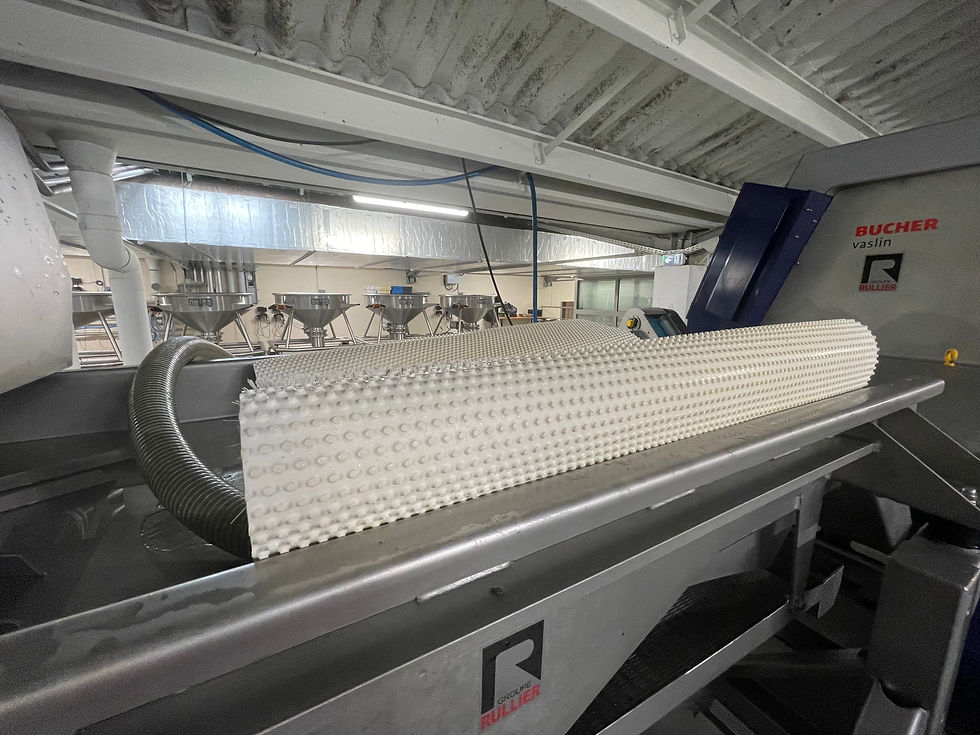 A conveyor belt carries freshly harvested grapes, operating at an impressive speed of three metres per second.