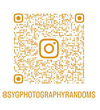 Fun Randoms Insta Page