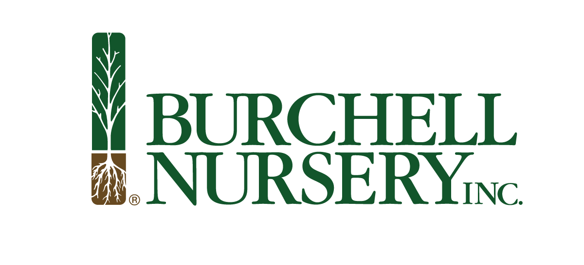 BurchellLogocolor.png