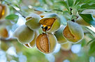 GettyImages-939391834 copy 2.jpg
