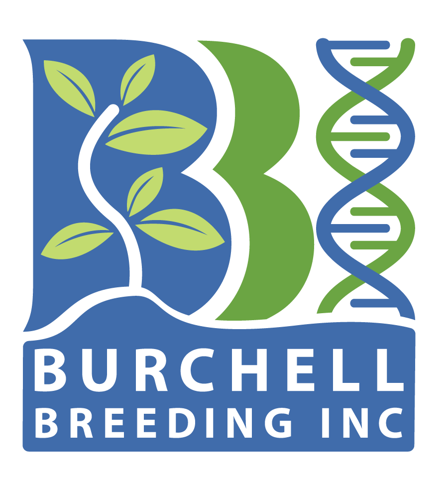 BBI_logo.png