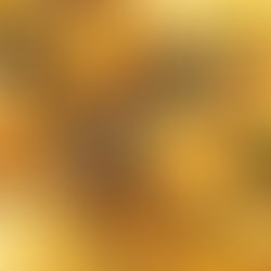 Jackfruit and Bean Chimichanga Bowl