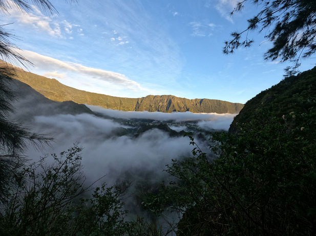 la vue depuis le canyon de fleurs jaunes
