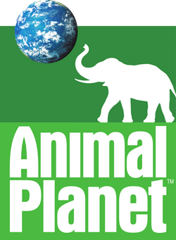 Animal_Planet_2006