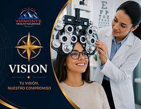 vision2.png