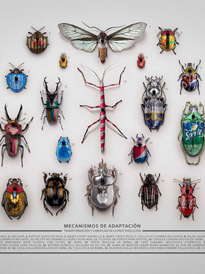 Mecanismos de Adaptación