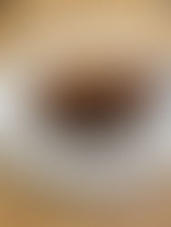 Where to eat in Cambridge, pre-punt or with pup