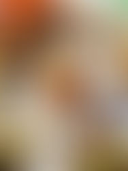 A vibrant spread of Mediterranean dishes includes hummus, fried calamari, and colorful salads on a wooden table, creating a lively mood.