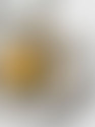 Plate of oysters arranged around a small bowl of bright yellow sauce on a white tablecloth. Fresh and appetizing presentation.