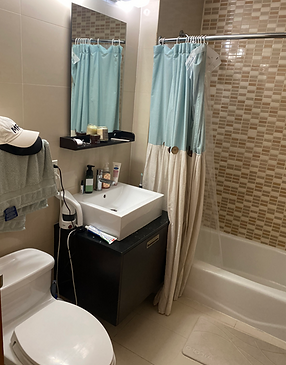 nyc guest bathroom - before