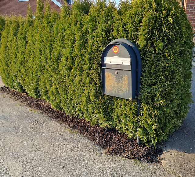 20220322_162652.jpg