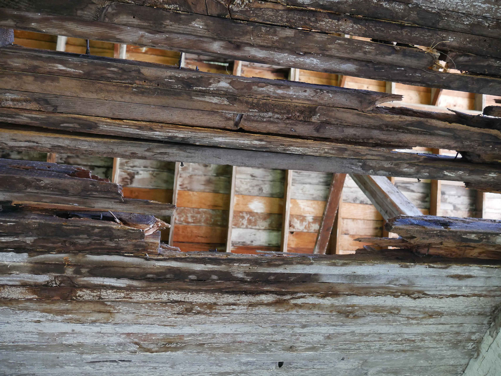 Ceiling3