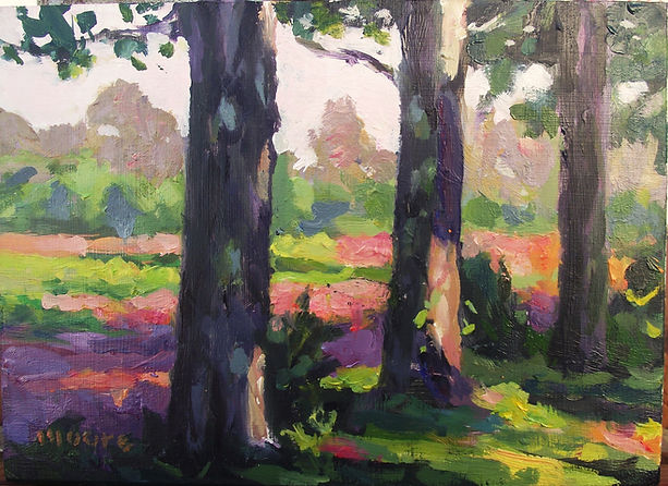 Shade Trees below by Scott Moore