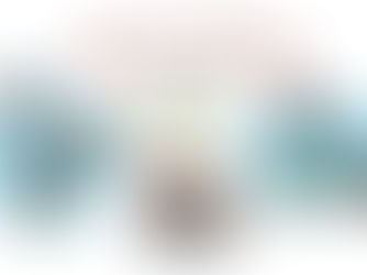 Kezar Falls Circulating Library Bikes-4-Books Begins June 15