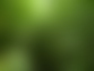 Parsonsfield Medical Marijuana Vote 7/30/19