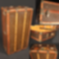 Louis Vitton Trunk