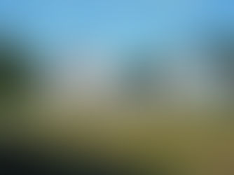 Baldwin Historical Society picnic August 27 at 5pm