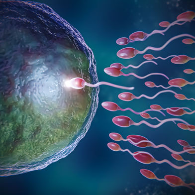 Addressing infertility within global sexual and reproductive health
