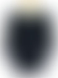 【買取情報】 JUSGLITTY