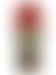 【買取情報】コルコバード CORCOVADO ボウタイプリントワンピースを査定させていただきました♪