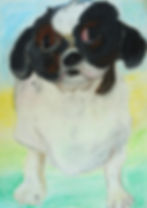 緑が浜小学校5年渡邊琥太郎「うにちゃん、何が欲しいの？」