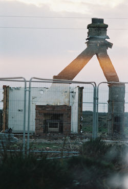 Glowing Innards of Dungeness