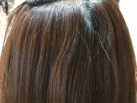 ヘアリセッター