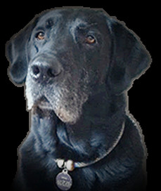 Coool pic for poop sign 12_edited_edited
