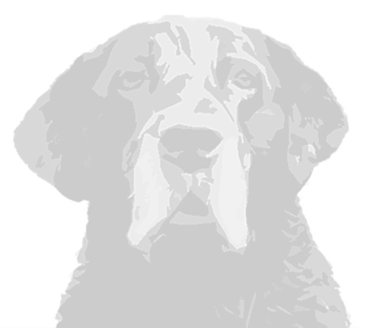 DHD mental wellness patch 080123 final -