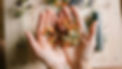 naturopathe en ligne consultation.jpg
