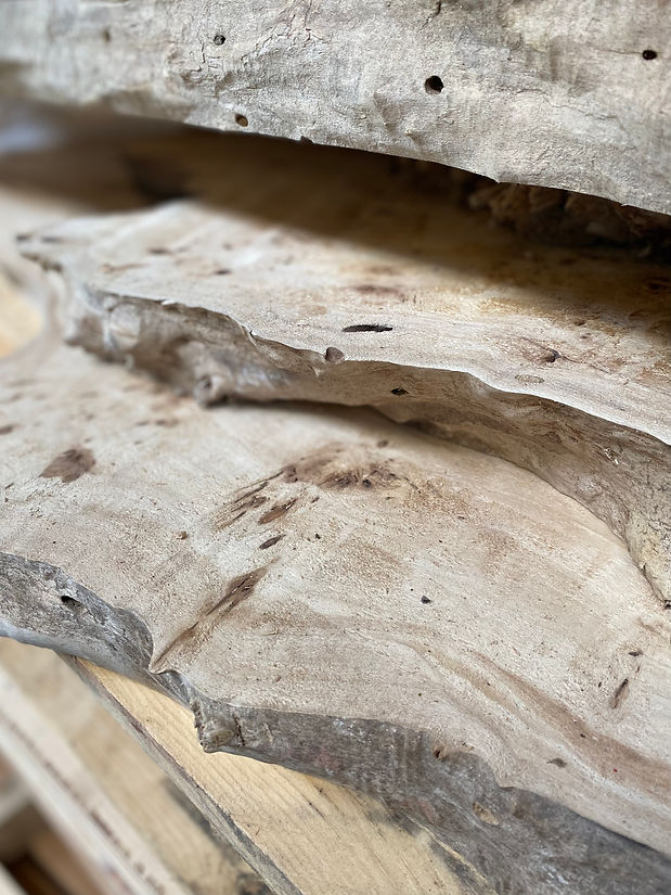 wood.jpeg