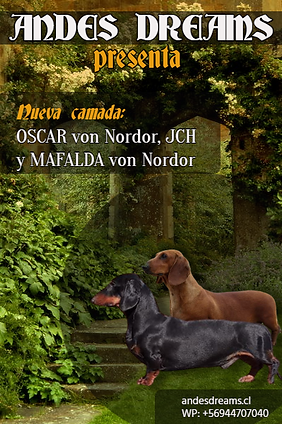 Poster Oscar x Mafalda.png