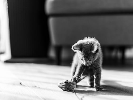 DSC_1760.jpg